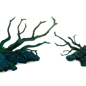 the arms of nature